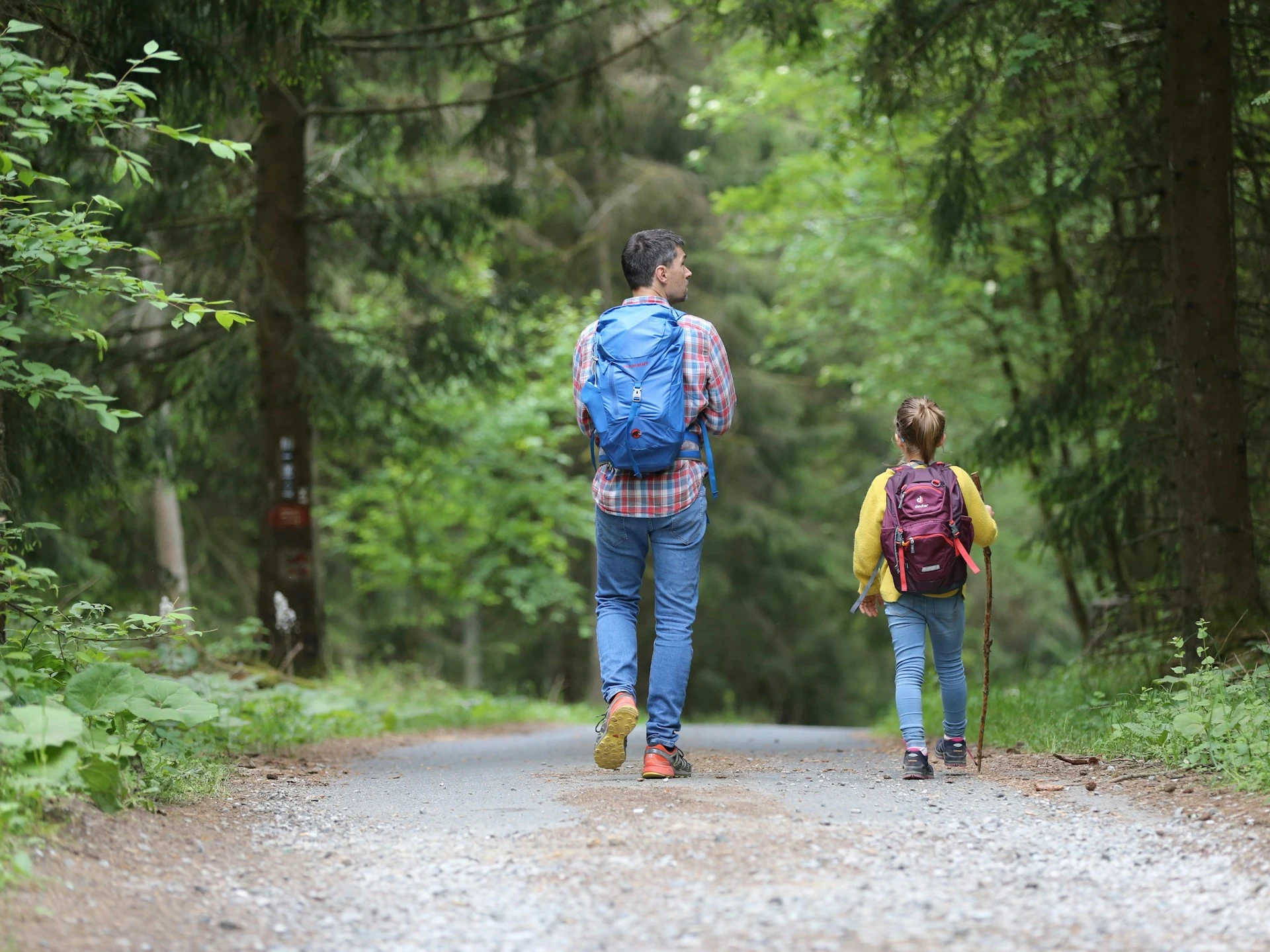 Kid hiking with dad