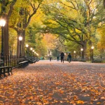 Central Park in Fall